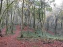 Sur le PR aud sud de la Rousse